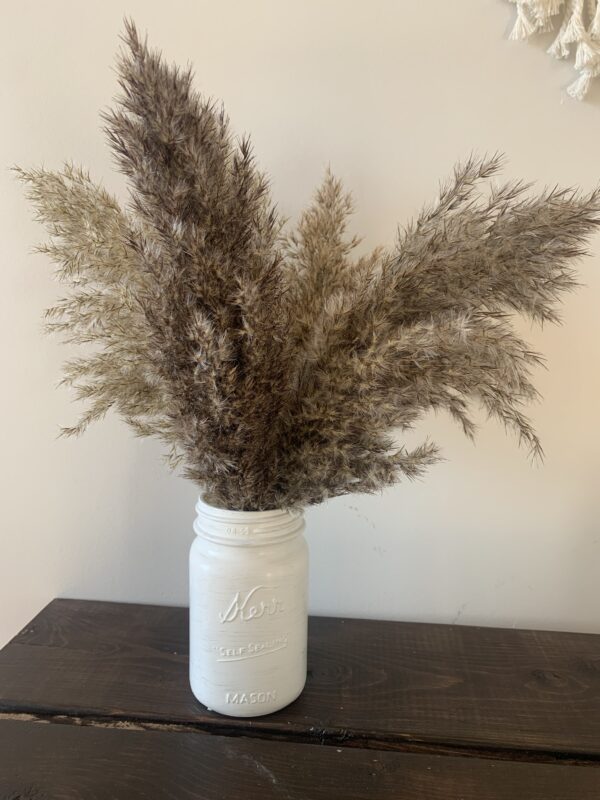 bouquet de pampas